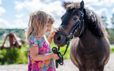 Kevätkosteus ja lämpö lupaavat huippuvuotta hevosheinän tuotannolle